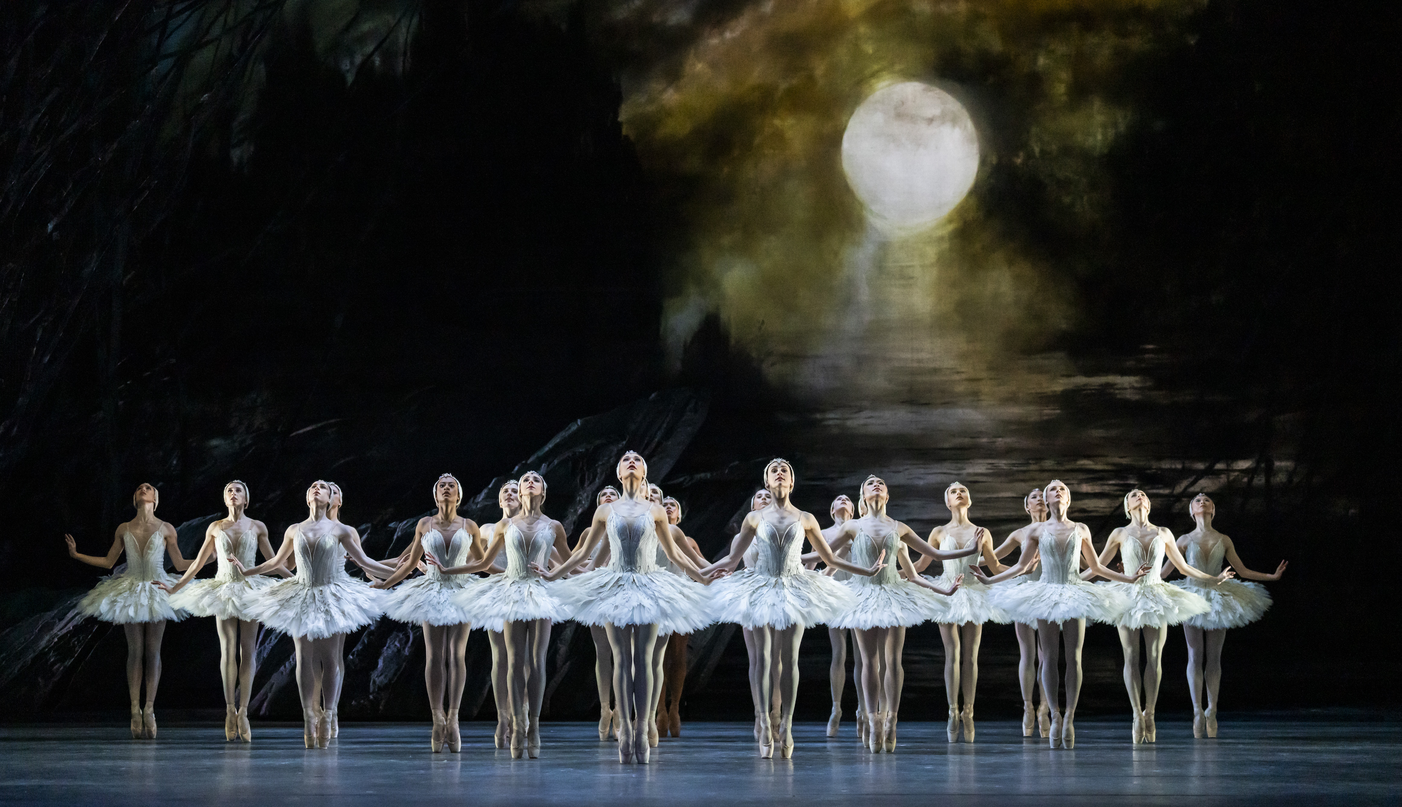 Swan Lake