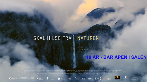 Skal hilse fra naturen - bar