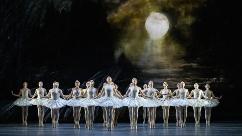 Swan lake